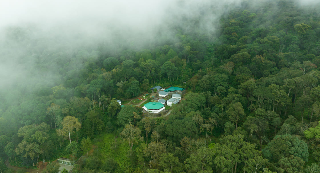 makayiram resort Munnar